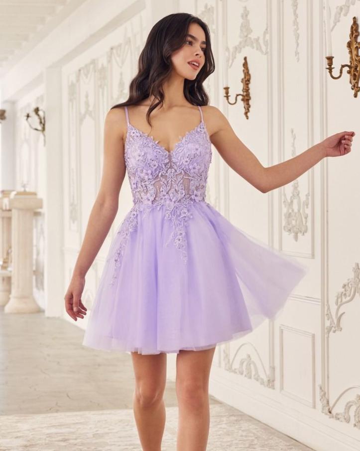 Ladivine A - Line Lace & Tulle Cocktail Dress _SF047 - NorthGirls