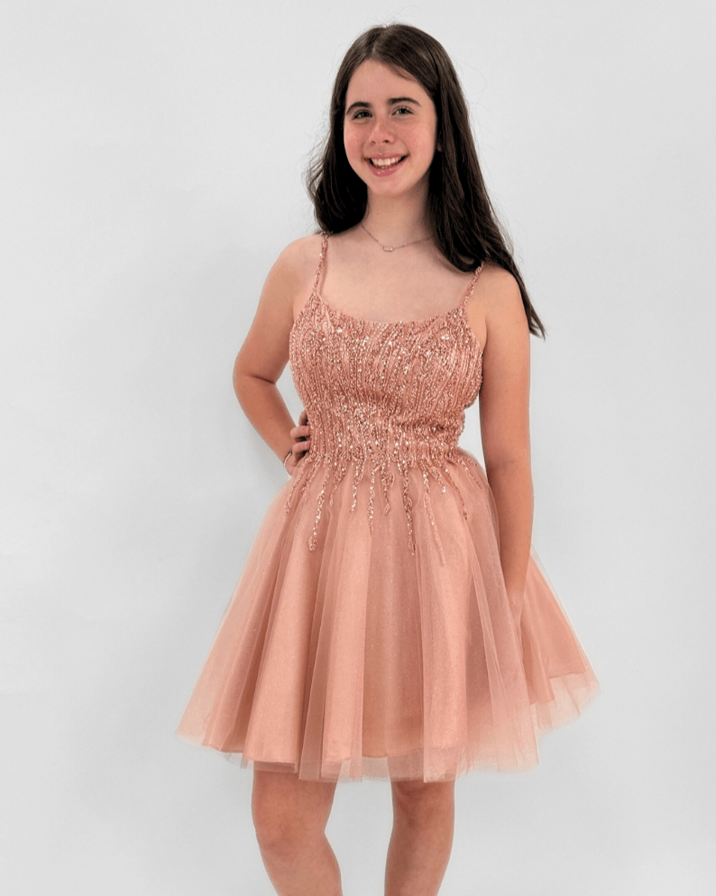 Ladivine Tulle A - Line Short Cocktail Dress _CD0212 - NorthGirls