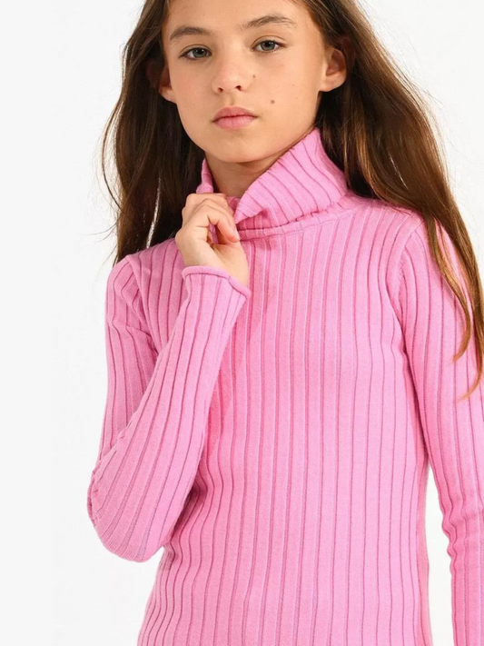 Mini Molly Pink Ribbed Turtleneck Sweater _MMF419BN23-1402