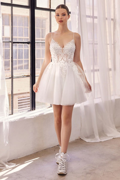 Ladivine A-Line Lace & Tulle Cocktail Dress