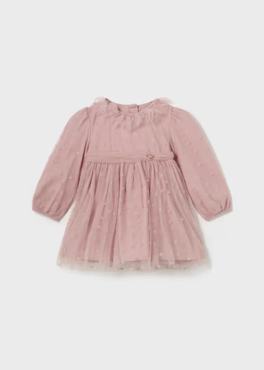 Baby Girl Long Sleeve Tulle Dress