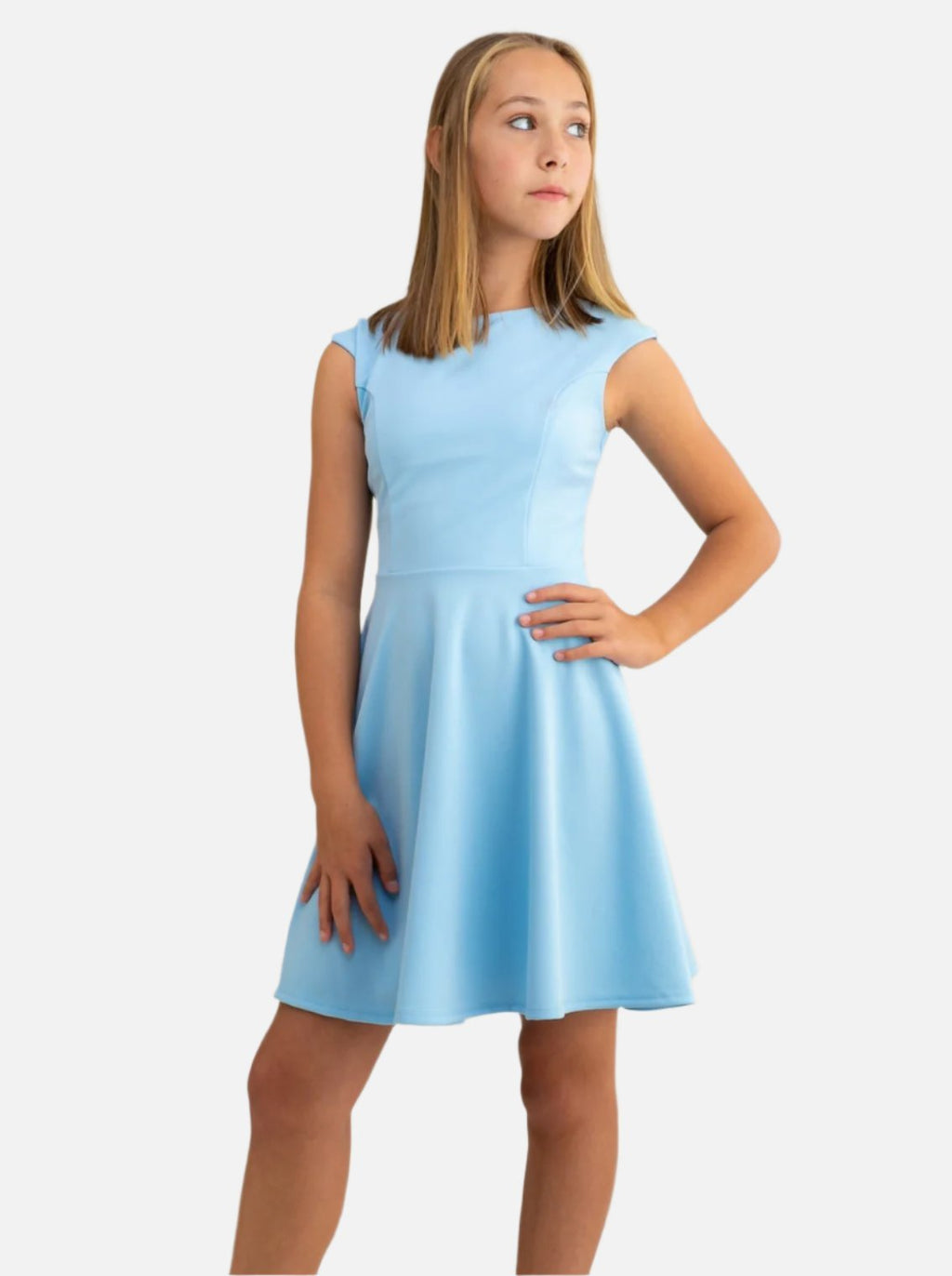 UDT TALIA Fit & Flare Cap Sleeve Dress _R3243KL - NorthGirls
